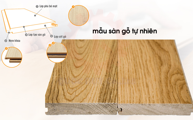 Các loại ván sàn gỗ thông dụng hiện nay | Quốc Duy