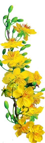 c6a3aece-546f-4d79-bf71-143f7a328df8mai-2012122821502067