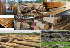 Những khó khăn của nguyên liệu ngành gỗ hiện nay
