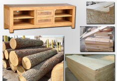 Tổng quan về ngành công nghiệp chế biến gỗ Việt Nam