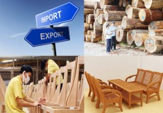 TÌNH HÌNH XUẤT NHẬP KHẨU GỖ VÀ SẢN PHẨM GỖ CỦA NƯỚC TA TRONG 2 THÁNG ĐẦU NĂM 2017