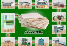 DÂY CHUYỀN SẢN XUẤT VÁN ÉP COPPHA HIỆN ĐẠI NHẤT TẠI TPHCM