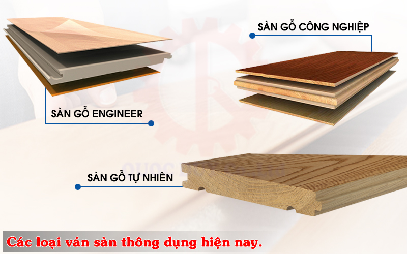 Các loại ván sàn gỗ thông dụng hiện nay | Quốc Duy