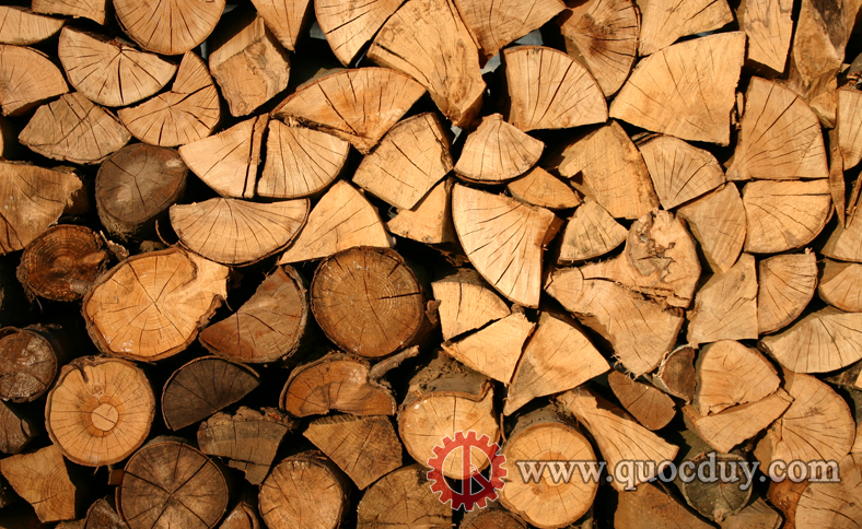 viet-nam-va-eu-ky-tat-vpa-flegt-thuc-day-su-phat-trien-nganh-go-2