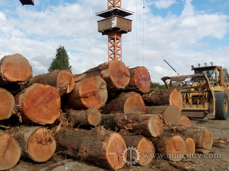 xuat-nhap-khau-go-va-san-pham-go-nam-2017-don-co-hoi-tu-hiep-dinh-flegt2