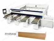 MÁY CƯA CẮT TẤM PANEL SAW SCM 