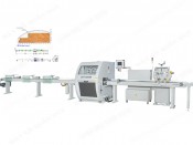 CUT-OFF SAW SERIES 200AB