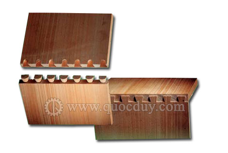 may-lam-mong-mang-ca-DE-16AAC1